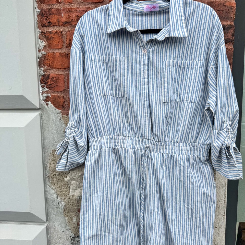 Pink Lily Stripe Jumpsuit Size 2XL